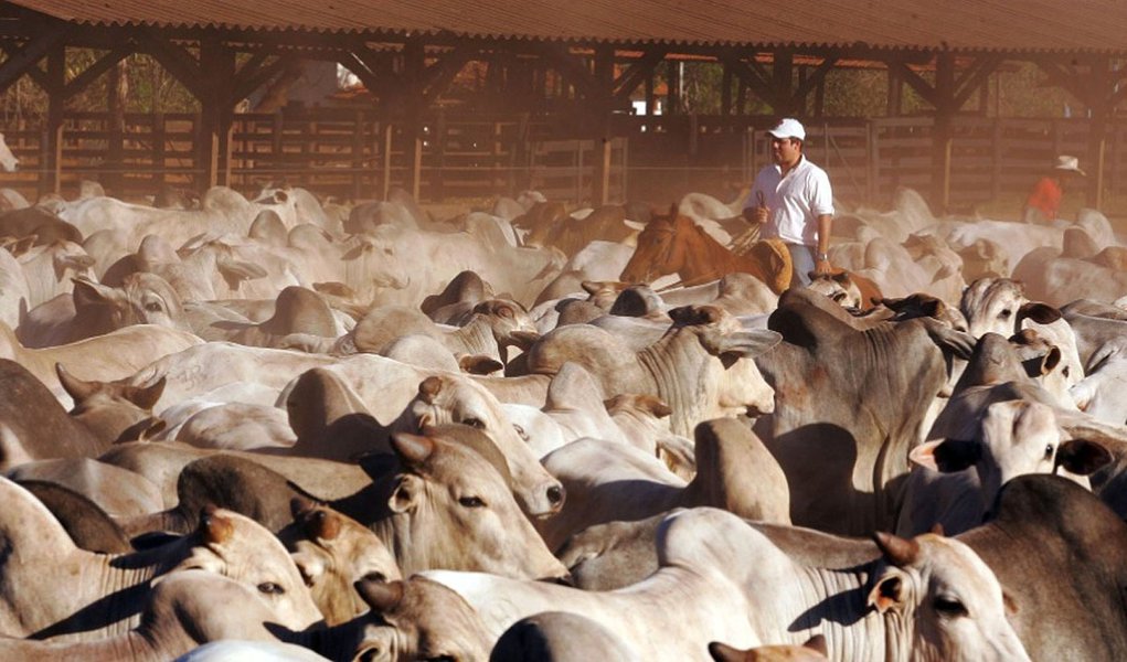 Embora o Índice de Atividade Econômica do Banco Central (IBC-Br) dessazonalizado (ajustado para o período) apresentou queda de 0,31% em novembro, comparado com outubro, houve crescimento de 1,34% (sem ajustes) na comparação com novembro de 2012; no ano passado, até novembro, o IBC-Br apresentou expansão de 2,68%; em 12 meses encerrados em novembro, a expansão ficou em 2,43%