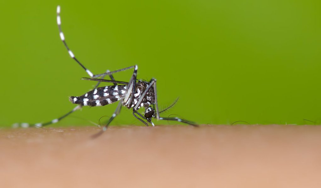 Com a queda da temperatura, o número de casos de dengue cai significativamente em todo o Estado; segundo dados da Secretaria Estadual da Saúde, o pico da doença neste ano foi registrado na segunda semana de abril, quando ocorreram 1.244 novas confirmações; atualmente, este número chega a média de 100 casos novos por semana; além disso, das 17 estações meteorológicas avaliadas pelo Laboratório de Climatologia da Universidade Federal do Paraná neste mês, apenas a de Maringá demonstra condições climáticas de médio risco para a proliferação do mosquito Aedes aegypti, transmissor da dengue