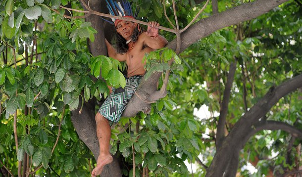 José Urutal, da tribo Guajajara, continua, nesta manhã, em cima de uma árvore dentro do terreno do antigo Museu do Índio, próximo ao Estádio do Maracanã; o indígena, de 54 anos, já está na copa da árvore há mais de 24 horas; ele faz parte do grupo de manifestantes que havia ocupado o prédio e foi retirado ontem por policiais militares do Batalhão de Choque