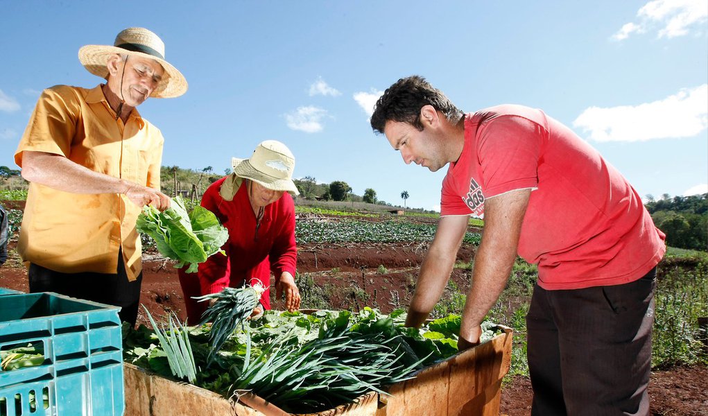 O programa Seguro Rural, do Governo do Paraná, deverá disponibilizar R$ 20 milhões em 2015 para subvenção de parte do valor do prêmio pago, nas apólices, pelos agricultores; o valor é quase o triplo dos R$ 7 milhões de 2014 e o objetivo é dobrar o número beneficiados; neste ano, foram cerca de 5.000 apólices; dos recursos projetados para o próximo ano, R$ 2,2 milhões são para a subvenção ao prêmio das culturas de milho e feijão da segunda safra