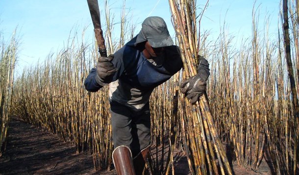 Atividades da Comissão Estadual para a Erradicação do Trabalho Escravo (Coetrae) no Maranhão serão retomadas; a decisão foi anunciada em reunião da Secretaria de Estado de Direitos Humanos com lideranças e gestores interessados em integrar a comissão; entre as primeiras ações a serem realizadas está o levantamento da incidência do trabalho escravo nos municípios do Maranhão; com base nesses dados, será elaborado um plano de ações para a Coetrae-MA