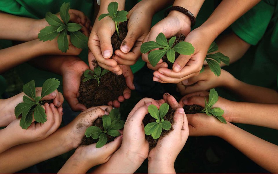 “Louvado seja, sobre o cuidado da casa de todos nós”. É o título da Encíclica recém publicada do Papa Francisco sobre o meio ambiente. O ponto central? “A Terra está ferida, é necessária uma conversão ecológica”. Poluir, contribuir para o aquecimento global, para a desflorestação é – no fundo – um pecado.