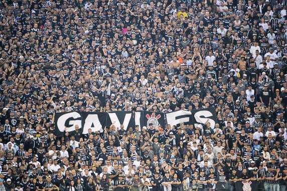 Blog do Juca: 'Gavião não vota em Bolsonaro'