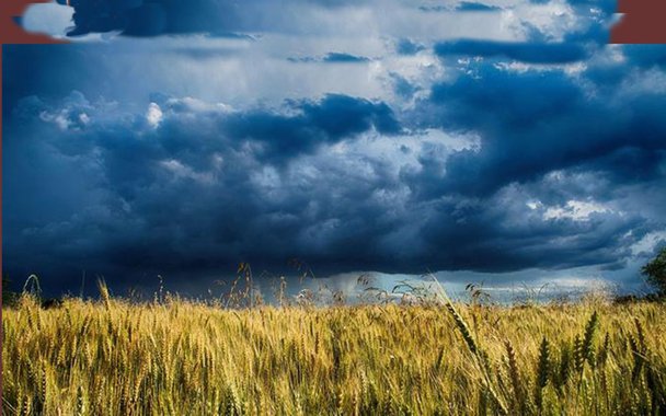 Fome e mudança climática. Uma pessoa de cada dez passa fome no mundo