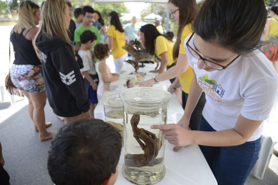 Museu Nacional mostra parte do acervo ao público depois de incêndio