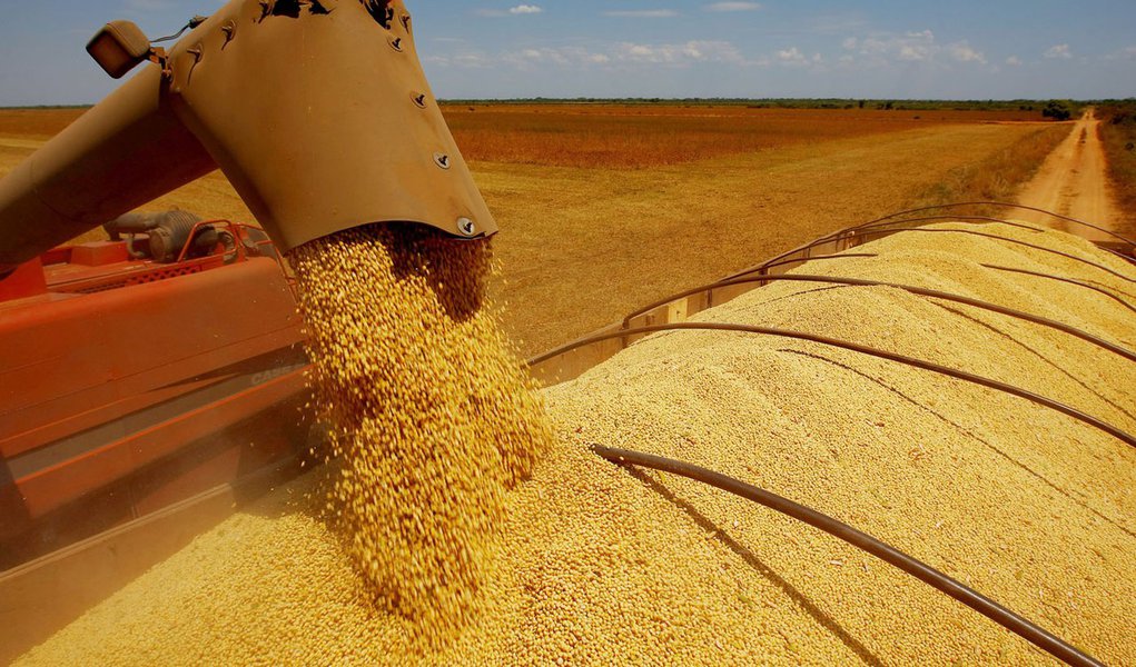 Agronegócio depende cada vez mais da China