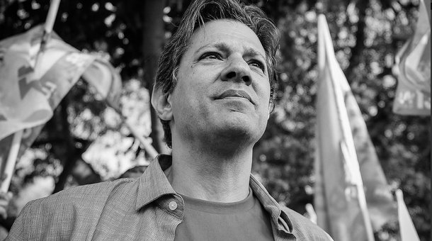 Curva das três pesquisas Vox no 2º turno aponta para vitória de Haddad