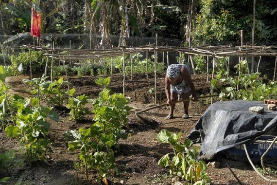 Mercado de terras, imperialismo e reorganização do regime político