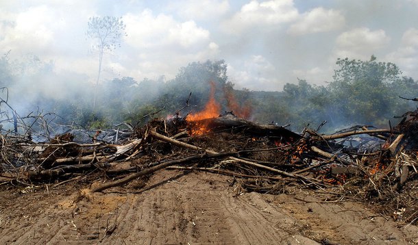 Gestão do meio ambiente não vai existir e banqueiros concentrarão poder