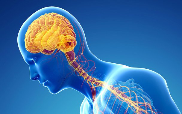 Mal de Parkinson. Doença ataca também os mais jovens