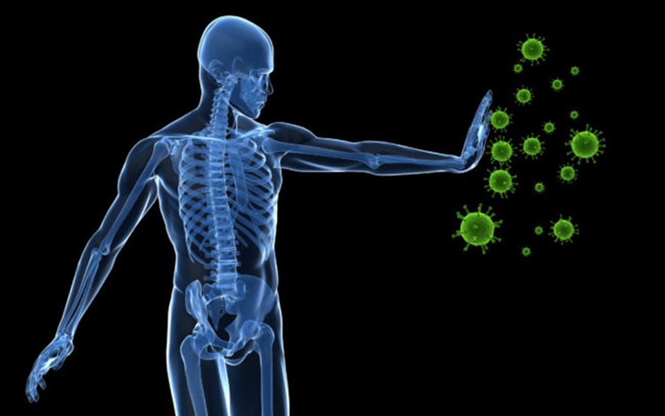 Imunoterapia. Usando o corpo para combater o câncer