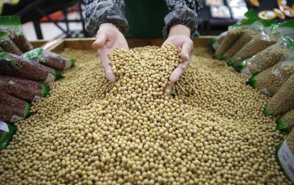 Carga de soja do EUA à China é 1ª realizada com mecanismo "blockchain"