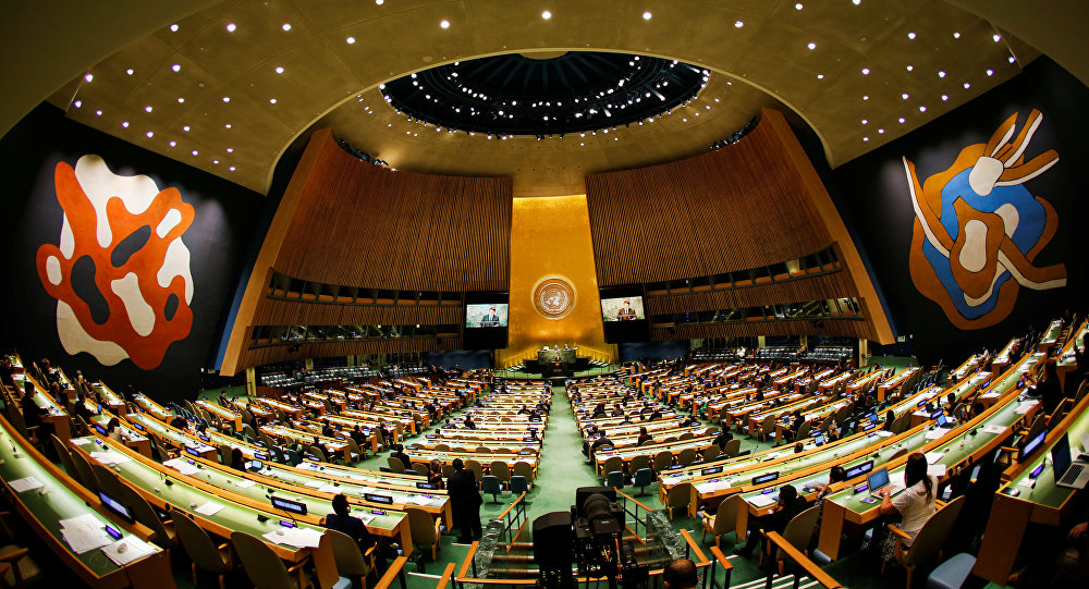 Assembleia Geral da ONU