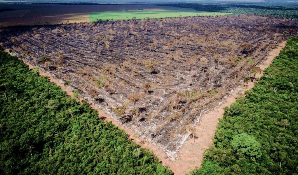 Brasil está entre criadores de problemas do clima, diz Libération