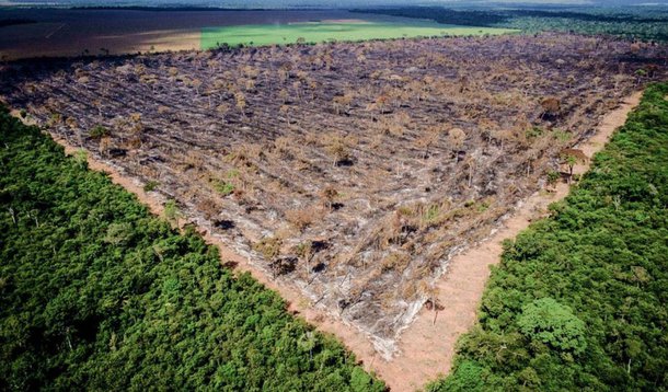 Brasil está entre criadores de problemas do clima, diz Libération