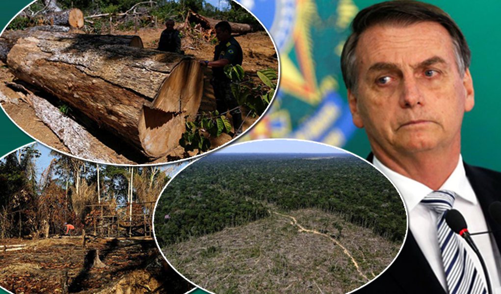 Enquanto Bolsonaro perdoa ruralistas, desmatamento na Amazônia cresce 100%