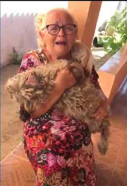 Mais um caso de agressão animal revolta as redes sociais