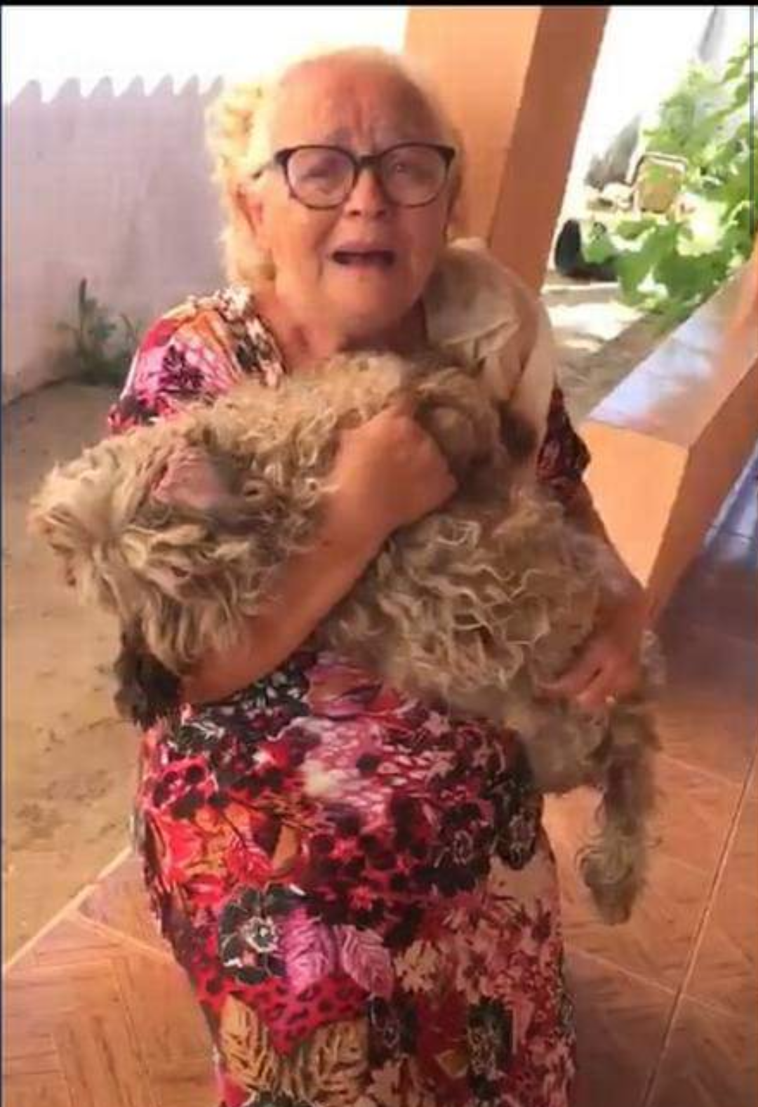 Mais um caso de agressão animal revolta as redes sociais