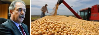 Mercadante aos ruralistas: ou vocês abandonam Bolsonaro, ou serão destruídos