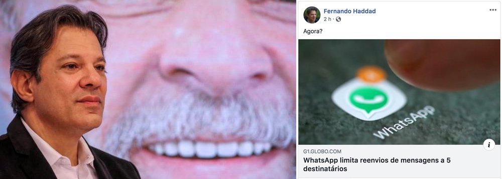 Haddad ironiza decisão do WhatsApp que limita destinatários: agora?