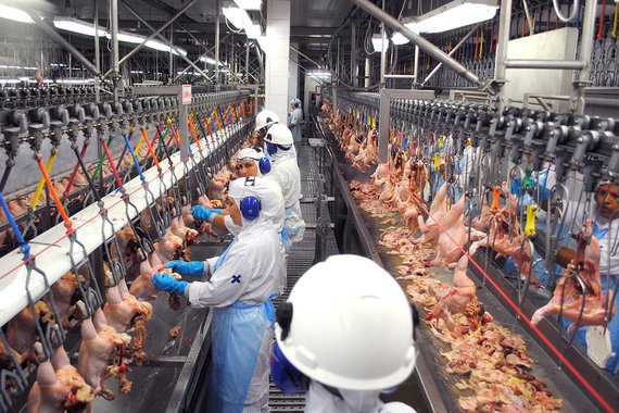 Arábia Saudita amplia sanção contra o Brasil e 33 frigoríficos estão proibidos de exportar