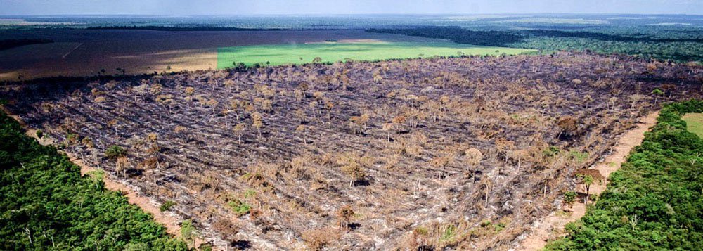 Sabotagem do trabalho do INPE na Amazônia exala cheiro de ilegalidade no MMA