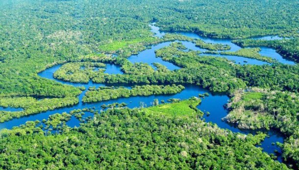 Sabotagem do trabalho do INPE na Amazônia exala cheiro de propina no MMA