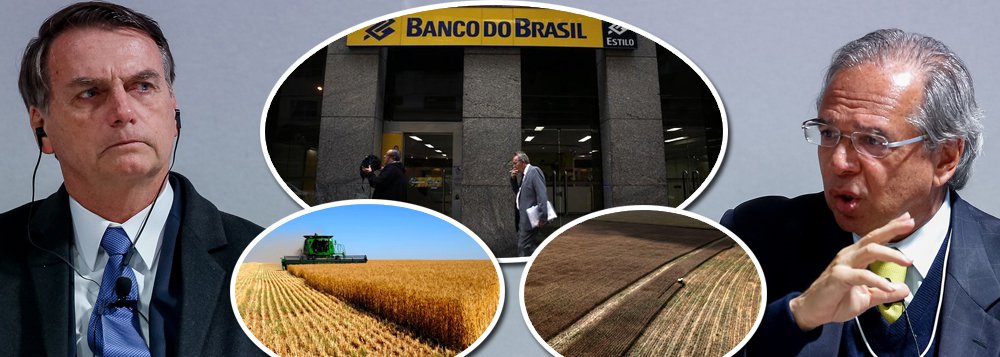  Bolsonaro trai ruralistas e reduz crédito agrícola