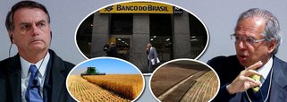  Bolsonaro trai ruralistas e reduz crédito agrícola