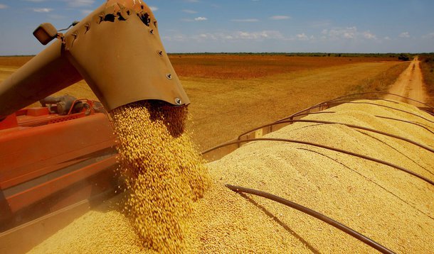 Guerra comercial China-EUA pode favorecer soja brasileira, diz economista