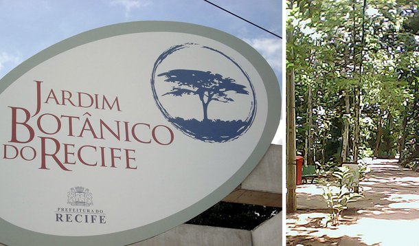 Jardim Botânico do Recife recebe certificado do Ministério do Meio Ambiente