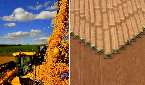 Brasil deve superar os EUA na produção de soja