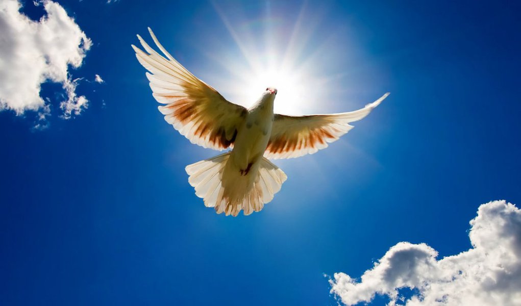 Carnaval recebe campanha contra violência