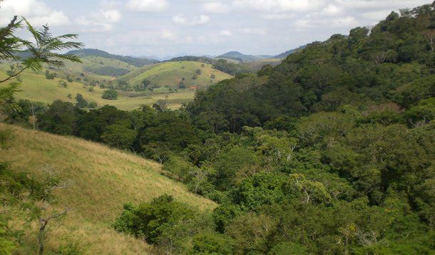 Minas lidera na devastação da Mata Atlântica