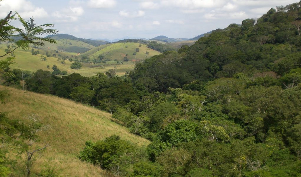 Mata Atlântica perde 13 mil hectares em um ano