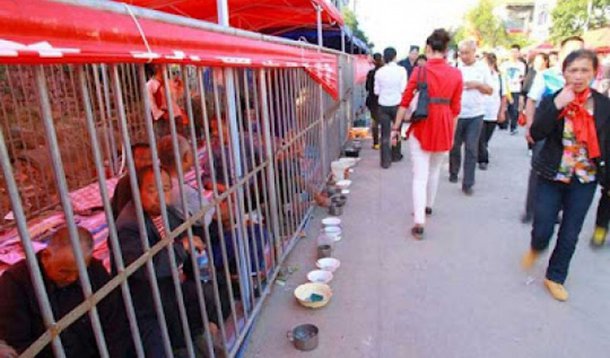 Na China, mendigos são tratados como animais