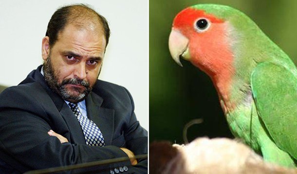 Jairo Martins: espião ou "jornalista investigativo"?