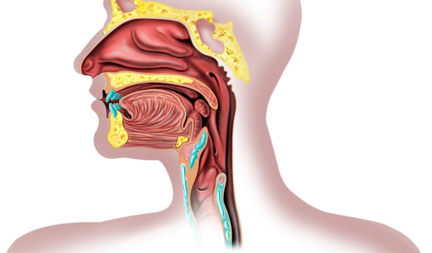 Chance de cura do câncer de Lula é alta