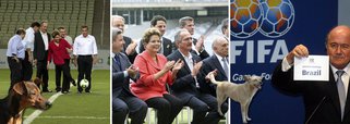 Vira-latas fracassam e a Copa de 2014 avança