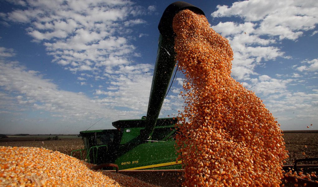 Produtores receberão 40 mil toneladas de milho