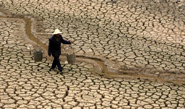 Senado anistia dívidas de agricultores nordestinos