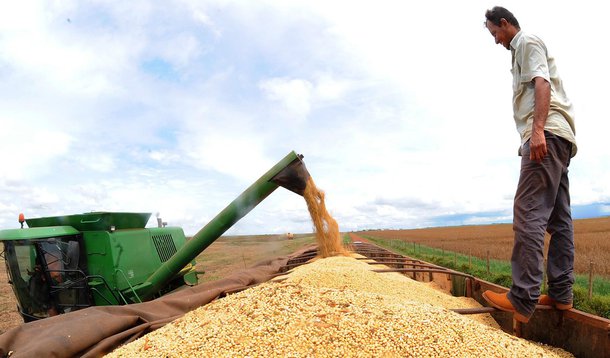 Produção agrícola do Brasil deve aumentar 88% em 40 anos