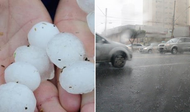 Temporal derruba árvores e deixa bairros sem energia