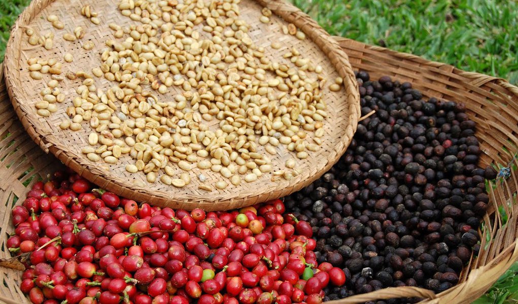 Safra de grãos 2011/2012 deve ser 2,2% menor do que a passada