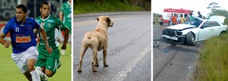 Sobrou para o cachorro…