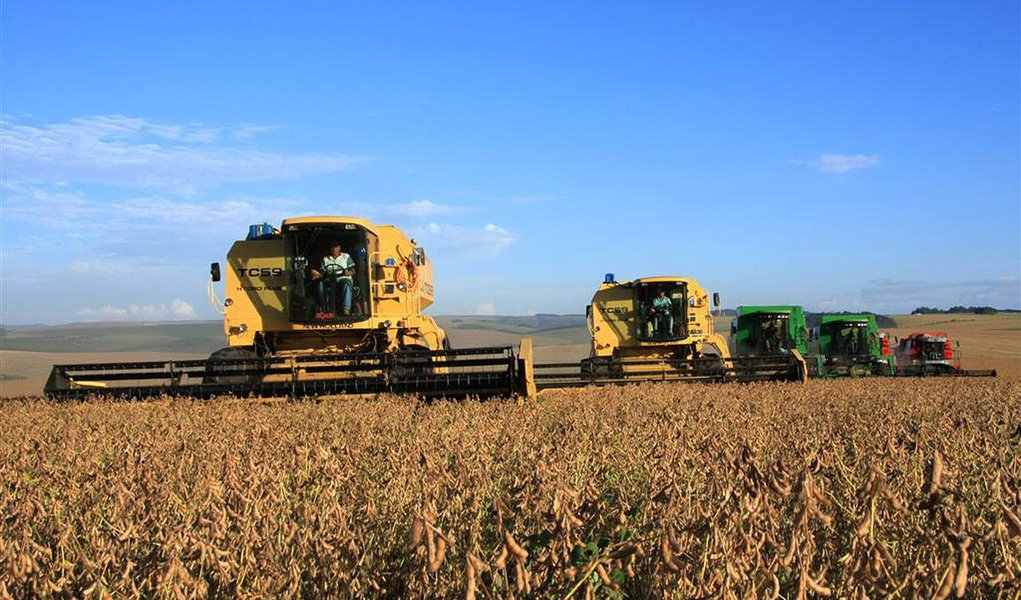 Safra de trigo deve crescer 32% no estado