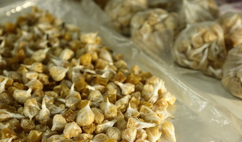 Mais de 360 quilos de droga são incinerados pelo Denarc