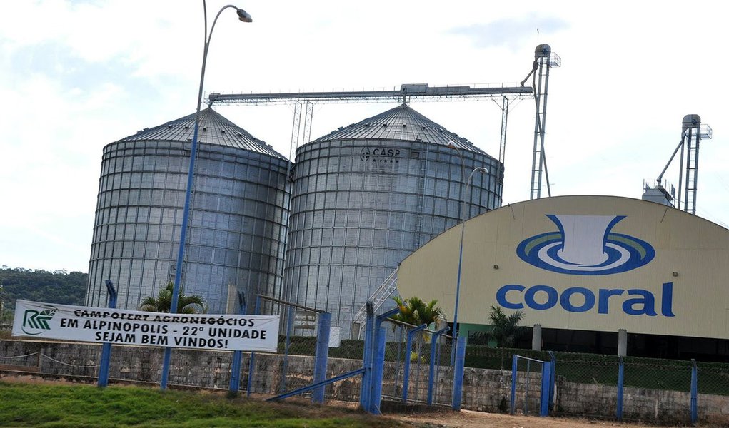 Cooperativa dá prejuízo de R$ 70 mi no Sul de Minas