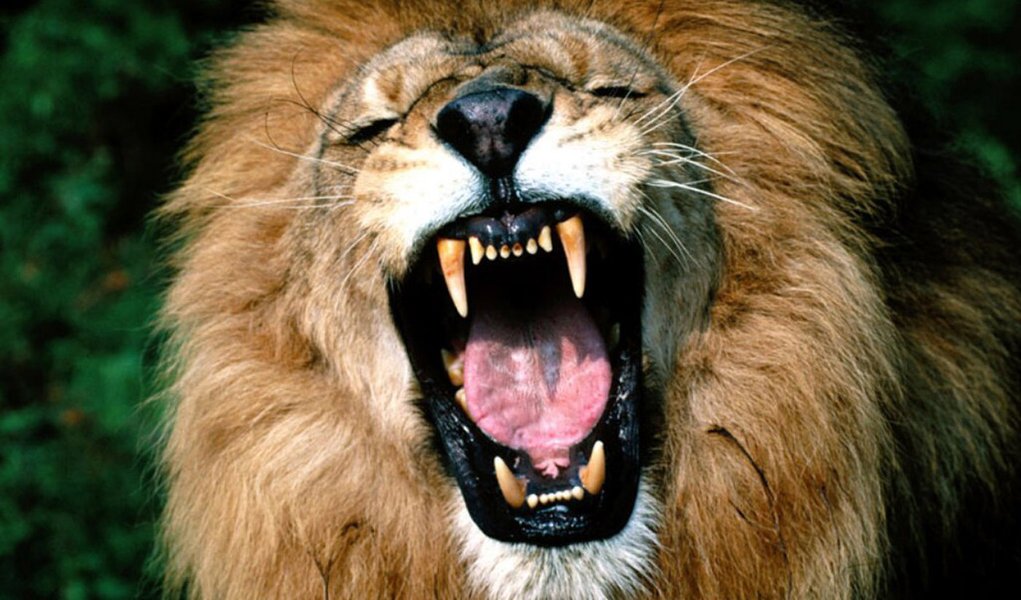 Contribuinte tem 30 dias para entregar a declaração do IR