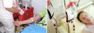 Alagoas está importando sangue de Pernambuco